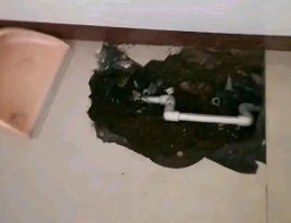 七台河市卫生间测漏水多少钱